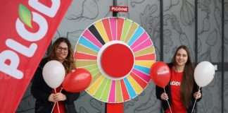 Nove Plodine u Daruvaru