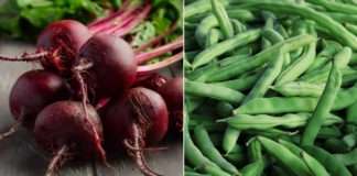 Sav potreban grašak i cikla za Podravku s domaćih polja