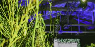 Objavljen program Greencajta: govornici će ponuditi svoje vizije i rješenja za održivu budućnost!