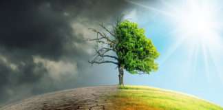 Održivost u fokusu industrije osiguranja u vremenima sve ozbiljnijih posljedica klimatskih promjena