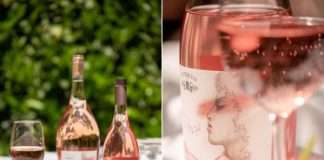 Nova berba omiljenog kutjevačkog Rosé Premiuma