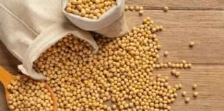 Suša naškodila urodu soje u Argentini