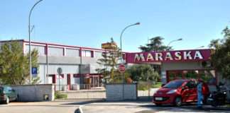 Stjepko Hlevnjak novi član Uprave Maraske d.d.