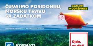 Kaufland nastavlja štititi posidoniju – morsku travu sa zadatkom