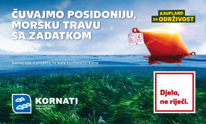posidonija (2)