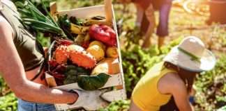 Za ekološki uzgoj isplaćeno više od 28 mil. EUR potpore