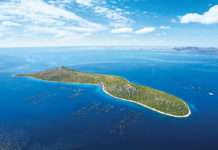 Cromaris: Održivi razvoj kao temelj poslovne izvrsnosti