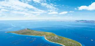 Cromaris: Održivi razvoj kao temelj poslovne izvrsnosti