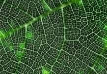 Dodijeljeno 45 ugovora za dokumentaciju za projekte zelene i digitalne tranzicije