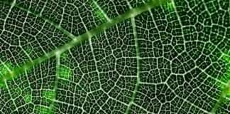 Dodijeljeno 45 ugovora za dokumentaciju za projekte zelene i digitalne tranzicije