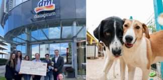 Donacijom 11,7 tona hrane dm podržao udruge koje brinu o napuštenim i nezbrinutim životinjama