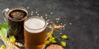 Klimatske promjene prijete uzgoju hmelja u Europi