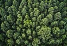 Istraživanje tvrtke Tetra Pak: 50% tvrtki planira implementirati održiva rješenja