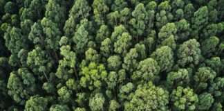 Istraživanje tvrtke Tetra Pak: 50% tvrtki planira implementirati održiva rješenja