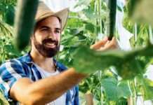 Raste svjesnost o ekološkim prednostima biljnih proizvoda