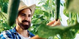 Raste svjesnost o ekološkim prednostima biljnih proizvoda