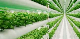 Potrošači sve više povezuju osobno zdravlje i zdravlje planeta