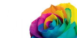 Boje u marketingu: Boja je moćan komunikacijski alat