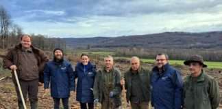 HRVATSKI DUHANI na putu prema ugljičnoj neutralnosti: ekološkim akcijama nadoknađuju kompletnu biomasu za sušenje duhana