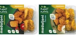 Planet of Plants panirani biljni Medaljoni s okusom ribe i piletine, 230 g