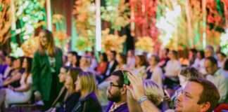 Greencajt festival najavljuje nove programske zvijezde!