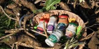 Ludbreški hren postao 48. hrvatski proizvod zaštićenog naziva u EU