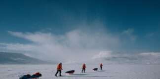 Gebrüder Weiss osigurava podršku klimatskoj ekspediciji u okviru projekta Grenland