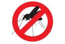 Insekticidi i repelenti: Kategorija bilježi rast vrijednosne i količinske prodaje