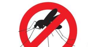 Insekticidi i repelenti: Kategorija bilježi rast vrijednosne i količinske prodaje