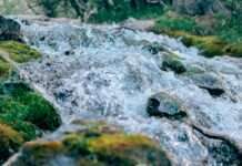 Negazirane vode i vode s okusom konzumira 33% građana od 16. do 64. godine