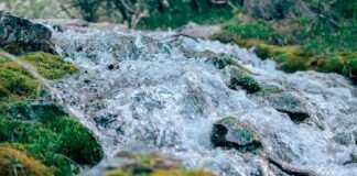 Negazirane vode i vode s okusom konzumira 33% građana od 16. do 64. godine