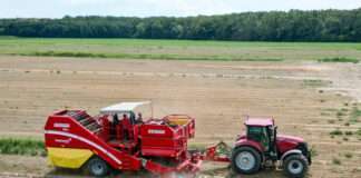 Podravka: Berba cikle u tijeku, očekuju se prinosi veći od 800 tona