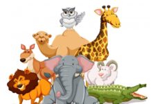 Brend komunikacija: Moć maskota u marketingu