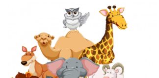 Brend komunikacija: Moć maskota u marketingu