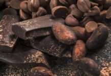 Uzgajivači kakaovca u Gani očekuju dobar urod