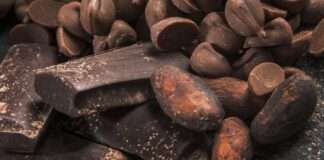 Gana planira znatno podići otkupne cijene kakaovca