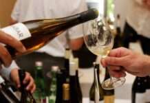 Konferencija o graševini: Ovogodišnje vremenske nepogode utjecale na berbu