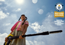 Kärcher je trenutno najprodavaniji brend visokotlačnih čistača