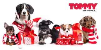 Tommy ni ove godine neće prodavati pirotehnička sredstva