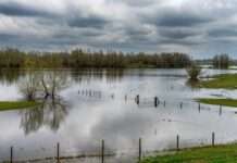 Vlada: Poljoprivrednicima šest milijuna eura za štete od prirodnih nepogoda