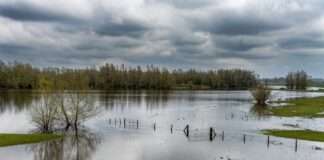 Vlada: Poljoprivrednicima šest milijuna eura za štete od prirodnih nepogoda