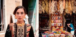 Začini: Most između kultura, povijesti i modernih trendova