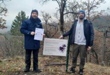 Hrvatski duhani donacijom podržali sadnju 5000 stabala hrasta i očuvanje iznimno rijetke biljke velike sase na Papuku