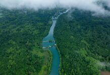 DS Smith donirao 1 milijun dolara organizaciji The Nature Conservancy za očuvanje voda i bioraznolikosti diljem svijeta