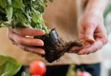 Proizvođači upozoravaju na loše stanje u ekološkoj poljoprivredi