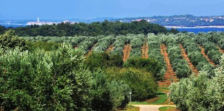 Fortenova grupa i Badel 1862 potpisali ugovor o kupoprodaji Agrolagune