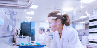 Alkaloid – rezultati poslovanja za razdoblje siječanj – prosinac 2024