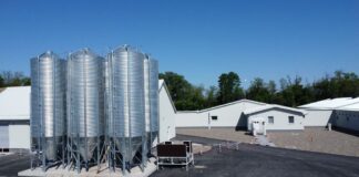 Hanfa: Žitu odobrena javna ponuda dionica vrijedna nominalno do 6,65 mil. eura