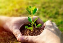 Treća godina kampanje #PlantHealth4Life u Hrvatskoj