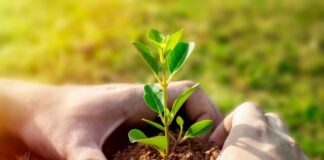 Treća godina kampanje #PlantHealth4Life u Hrvatskoj